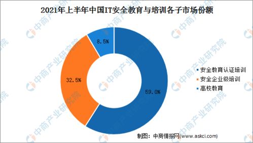 2021年上半年中國網絡安全服務廠商收入規模高漲110%，網絡與信息安全軟件開發引領增長
